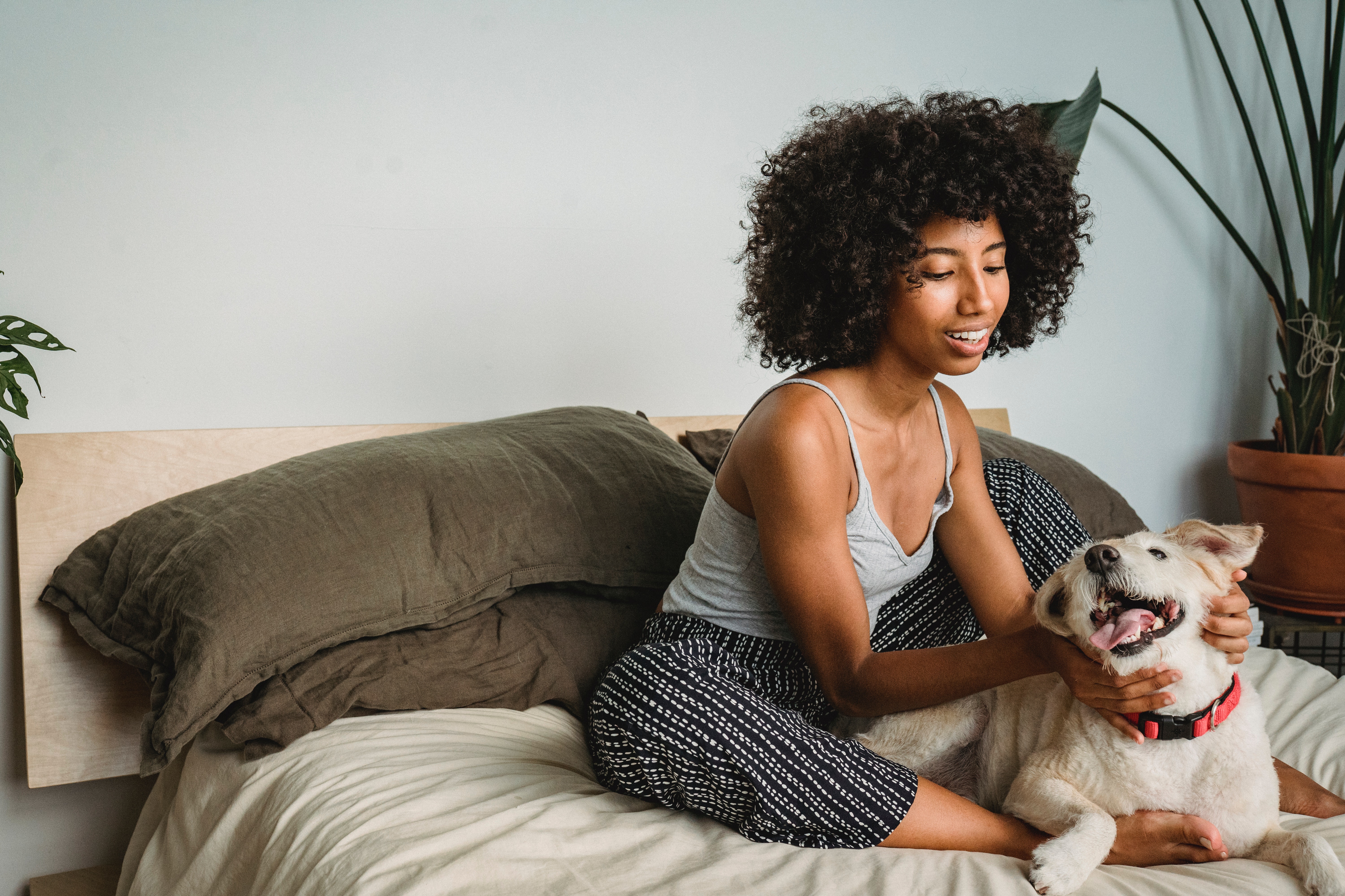 woman petting dog